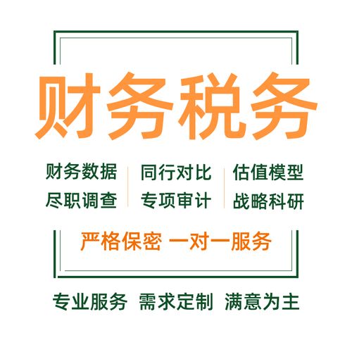 財(cái)務(wù)報(bào)表分析可行性研究報(bào)告審計(jì)稅務(wù)咨詢代寫(xiě)商業(yè)計(jì)劃書(shū)年度述職